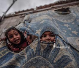 فقراء غزة (26)