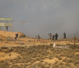 الركن الشديد (29)