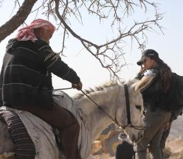 قوات الاحتلال تجرف 3 دونمات وتقتلع 120 شجرة مثمرة وتهدم بئر مياه جنوب الخليل (6)