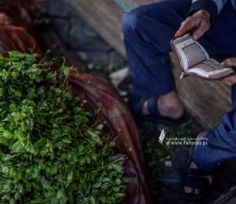 بائع النعناع (1)