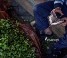 بائع النعناع (4)