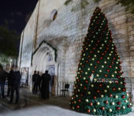 اضاءة شجرة عيد الميلاد (1)