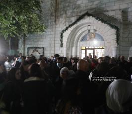 اضاءة شجرة عيد الميلاد (2)