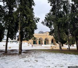 الثلوج في القدس1