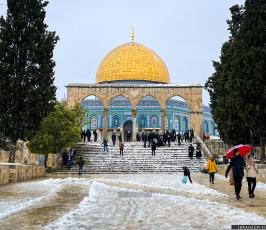 الثلوج في القدس6