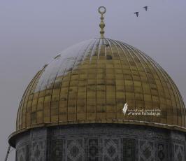 القدس تكتسي بالثوب الأبيض‎‎ (5)
