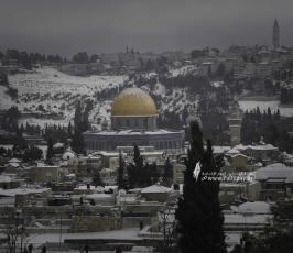 القدس تكتسي بالثوب الأبيض‎‎ (19)