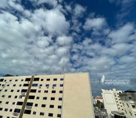 منخفض (4)