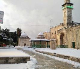 ثلوج تزين قبة الصخرة والمسجد الأقصى المبارك (10)