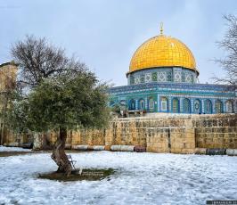 الثلوج في القدس16