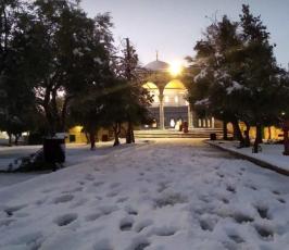 ثلوج تزين قبة الصخرة والمسجد الأقصى المبارك (7)