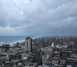 منخفض (13)