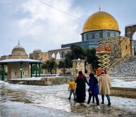 الثلوج في القدس22