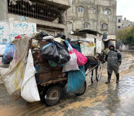 رجال المنخفض (3)