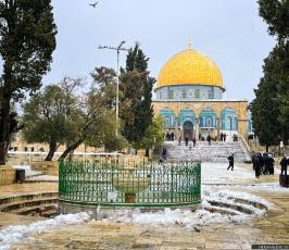 الثلوج في القدس12