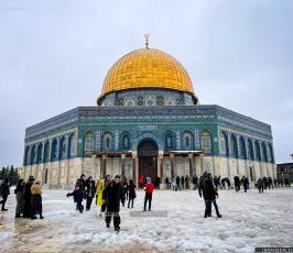 الثلوج في القدس14