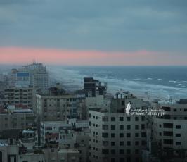 منخفض (21)