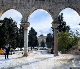 الثلوج في القدس13