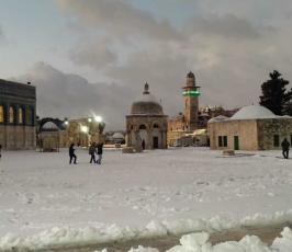 ثلوج تزين قبة الصخرة والمسجد الأقصى المبارك (14)