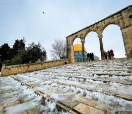 الثلوج في القدس18