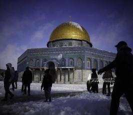 القدس تكتسي بالثوب الأبيض‎‎ (12)