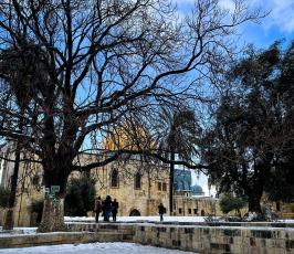 الثلوج في القدس3