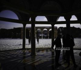 القدس تكتسي بالثوب الأبيض‎‎ (8)