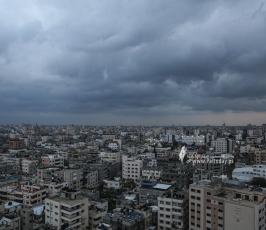 منخفض (14)