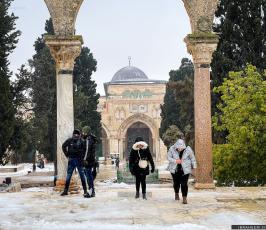 الثلوج في القدس8