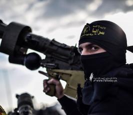 عرض السرايا  (9)