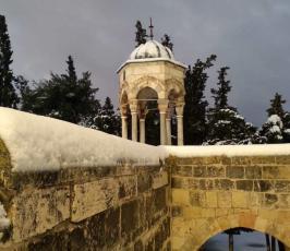 ثلوج تزين قبة الصخرة والمسجد الأقصى المبارك (3)