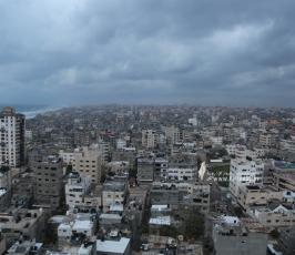 منخفض (12)