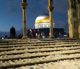 ثلوج تزين قبة الصخرة والمسجد الأقصى المبارك (1)