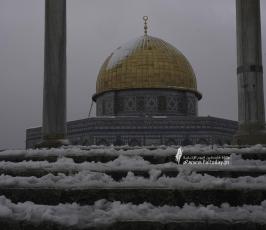 القدس تكتسي بالثوب الأبيض‎‎ (6)