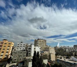 منخفض (1)