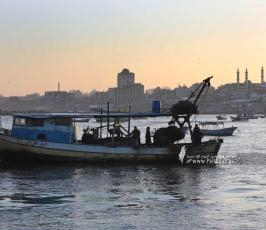ميناء الصيادين صباح اليوم (9)