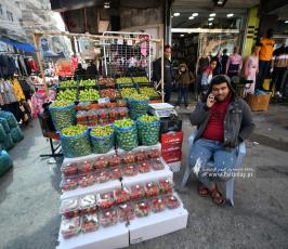 تمور (13)