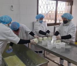 صناعة الاجبان (1)