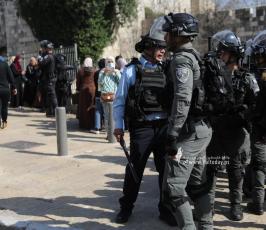  قوات الاحتلال تعتدي على المواطنين اثناء فعاليات احياء ذكرى الإسراء والمعراج في باب العامود بالقدس (14)