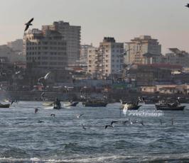 ميناء الصيادين صباح اليوم (1)