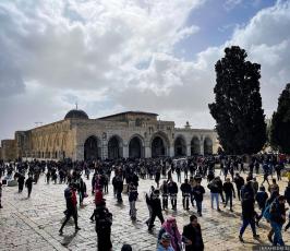 المسجد الأقصى3