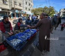 سوق السمك  (13)