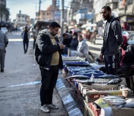 سوق السمك  (7)