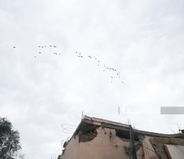 منزل الاسير محمود جرادات (5)