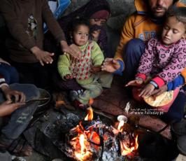 عائلات بغزة تعيش ظروفا صعبة في ظل البرد القارس (6)