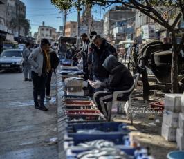 سوق السمك  (6)