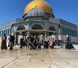 معسكر القدس أولًا 13 (1)