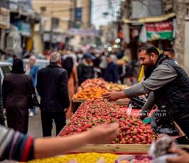 فراولة (15)
