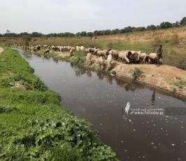 المسار البيئي الشبابي  في غزة بمناسبة يوم المرأة العالمي (5)