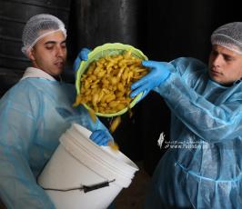  مصانع المخلل فى قطاع غزة لاستقبال شهر رمضان (1)